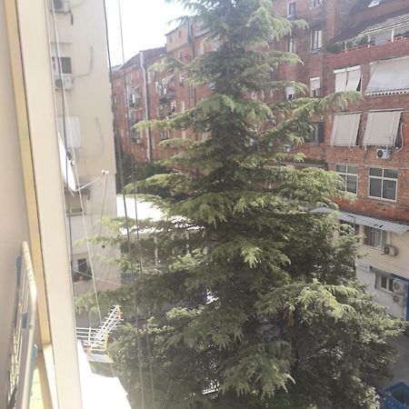 טיראנה Jolie Center Apartment מראה חיצוני תמונה